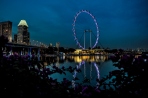 Singapore Flyer by night