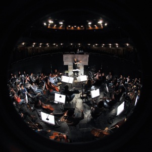 The Orchestra of the State Theatre